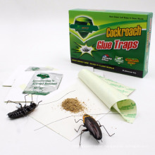 Bigger Stronger and More Effective Cockroach paper trap